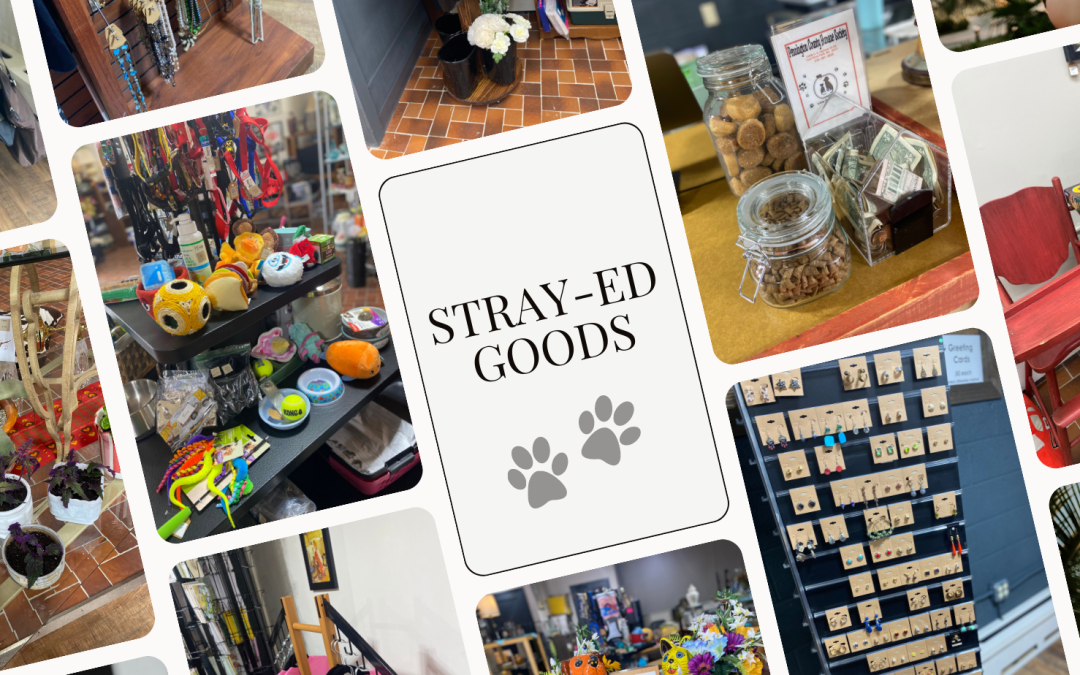 Strayed Goods: A Beacon of Hope for Pennington County’s Furry Friends